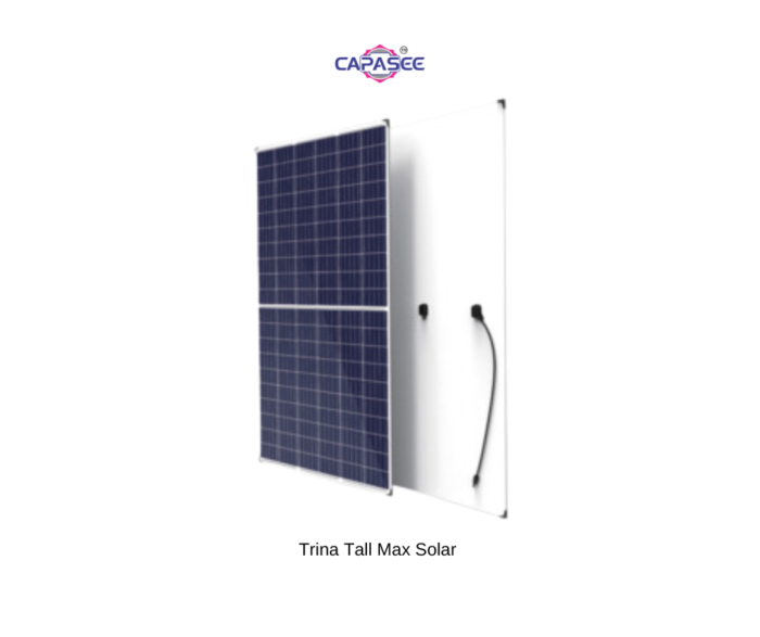 Trina Tall Max Solar