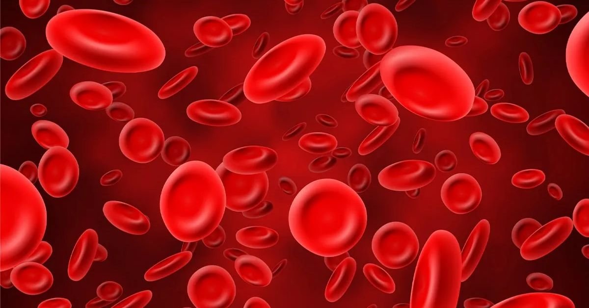 key-blood-parameters-measured