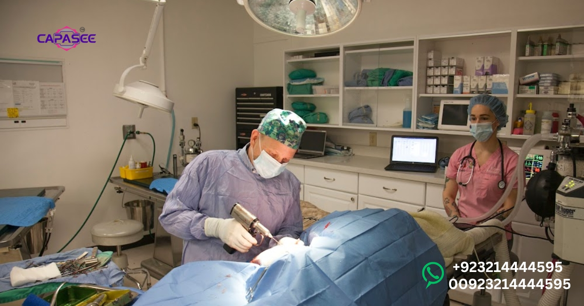 Cautery Machine for Veterinary Surgery by Capasee