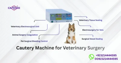 Cautery Machine for Veterinary Surgery