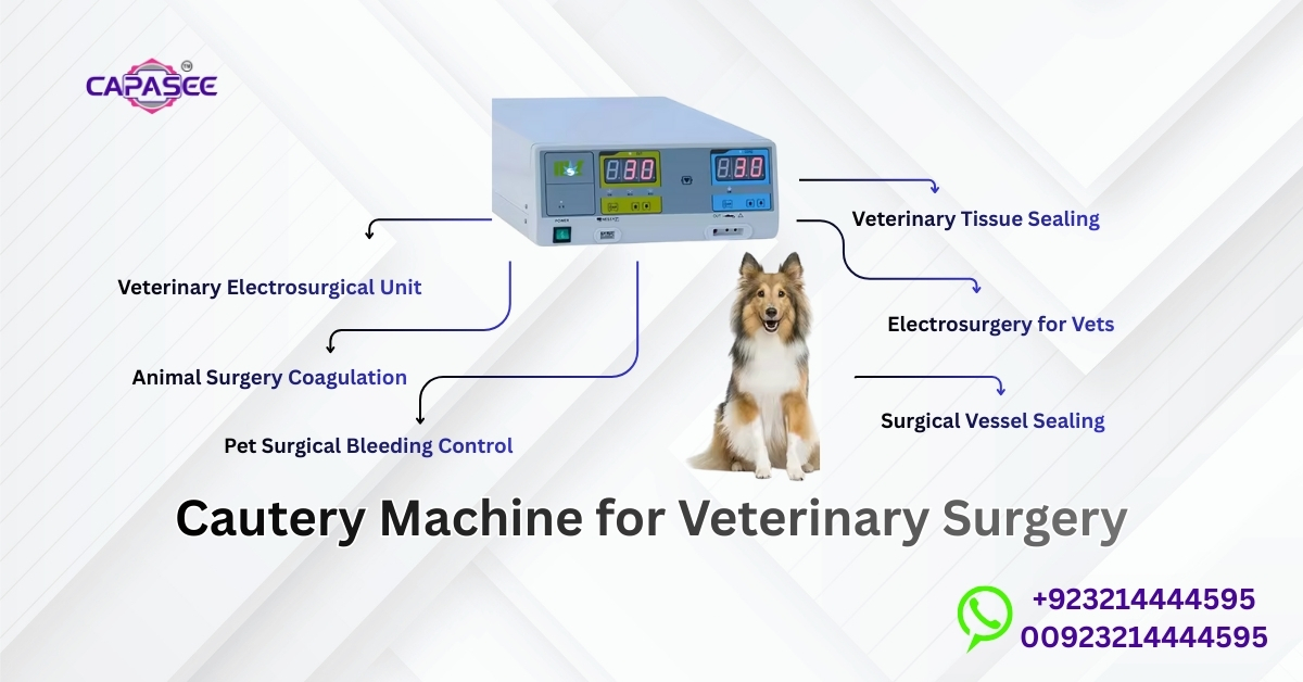 Cautery Machine for Veterinary Surgery